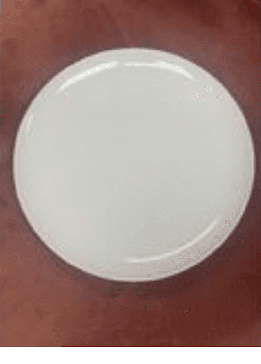 10.5" Glossy White Dinner Plate