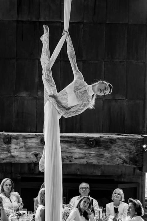 Silks Performers