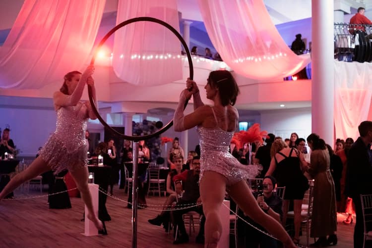 Duo Aerial Performers