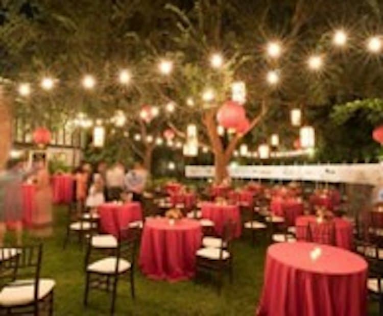 50' - 25 Bulbs - Carnival String Lighting