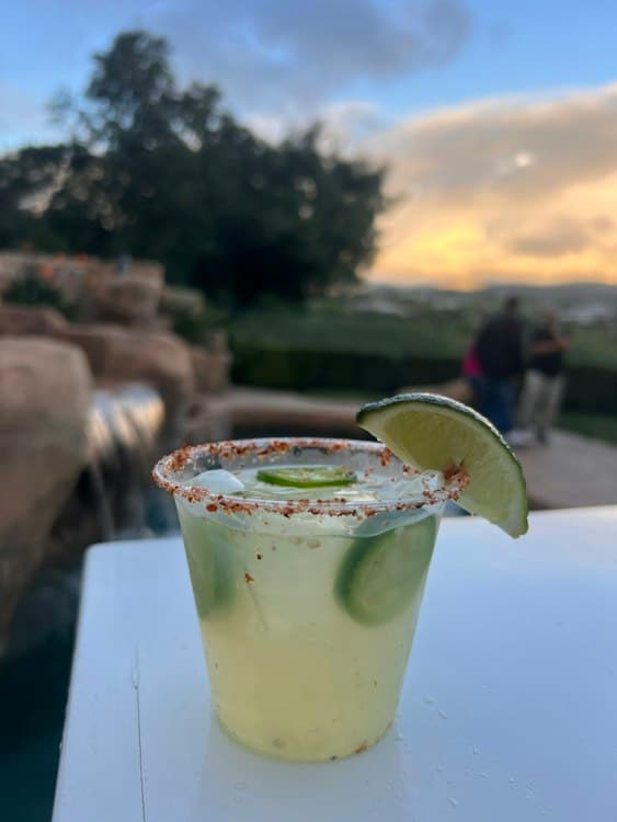 Bartenders - Above 50 Guests