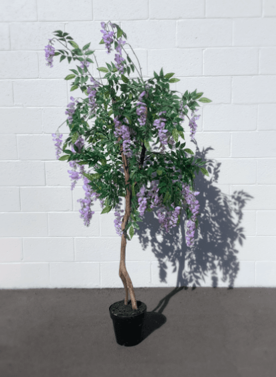 Purple Tree 6'