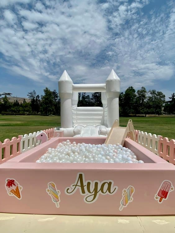 Toddler Bounce Castle + Ball Pit