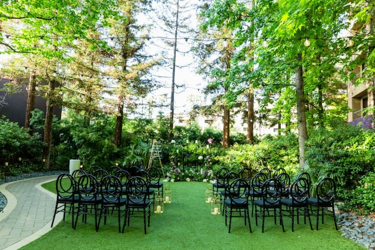 Premier Wedding Planning