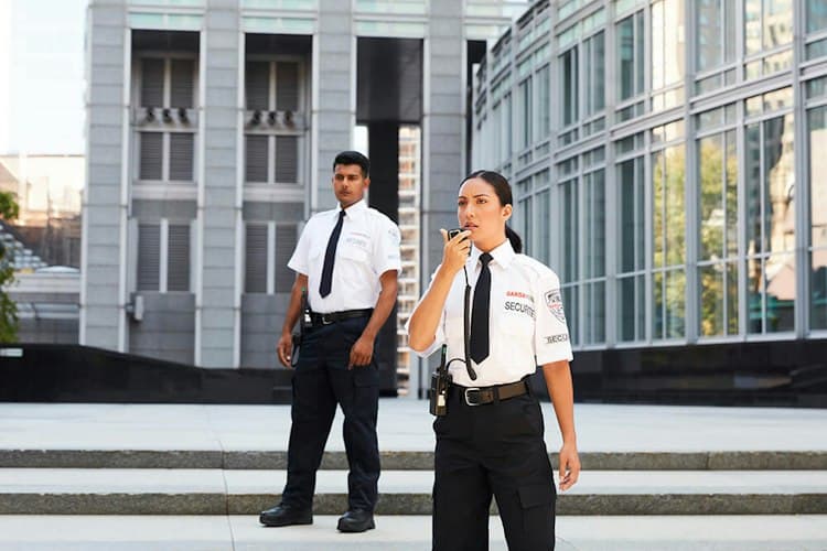 Standard Security Guard