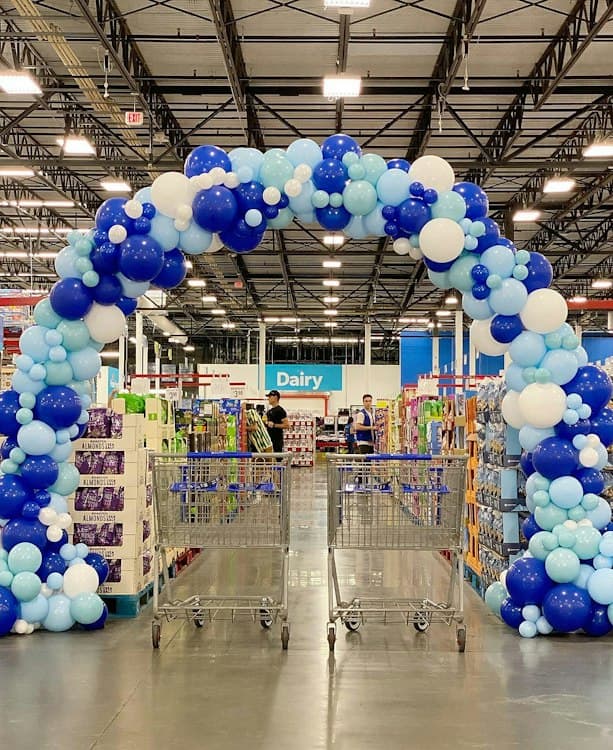 Organic Balloon Arch