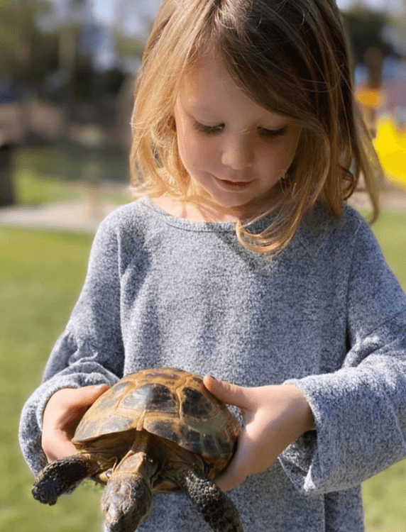 Reptile Wrangler Show