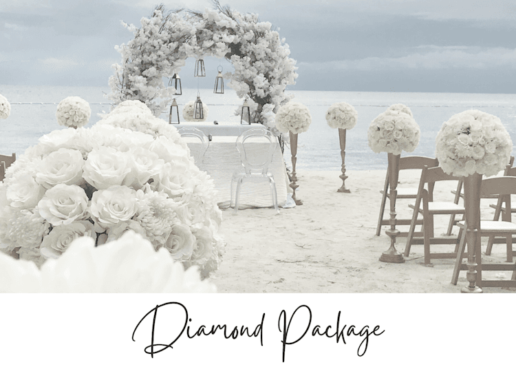 Wedding Diamond Package