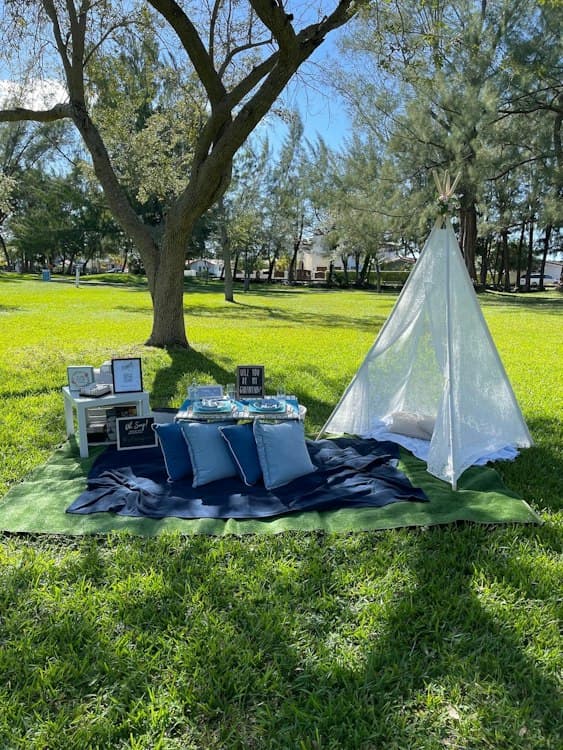 Luxury Picnic For 11 Guests