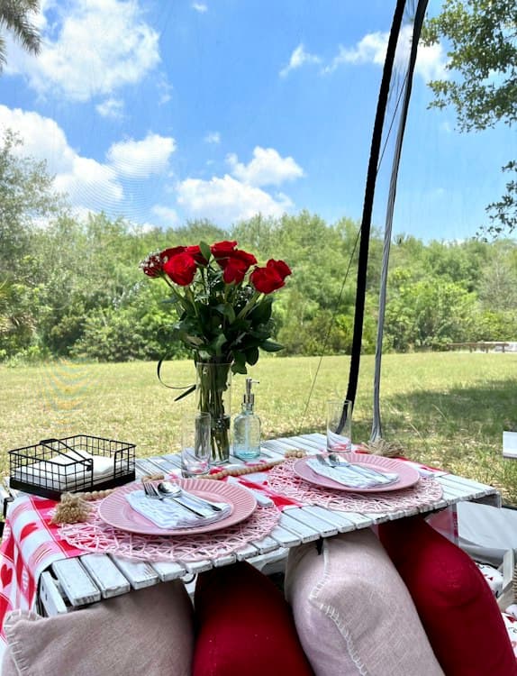 Vista View Park Picnic