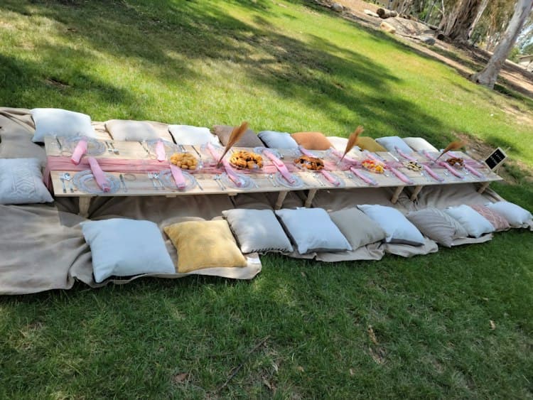 Picnic set up