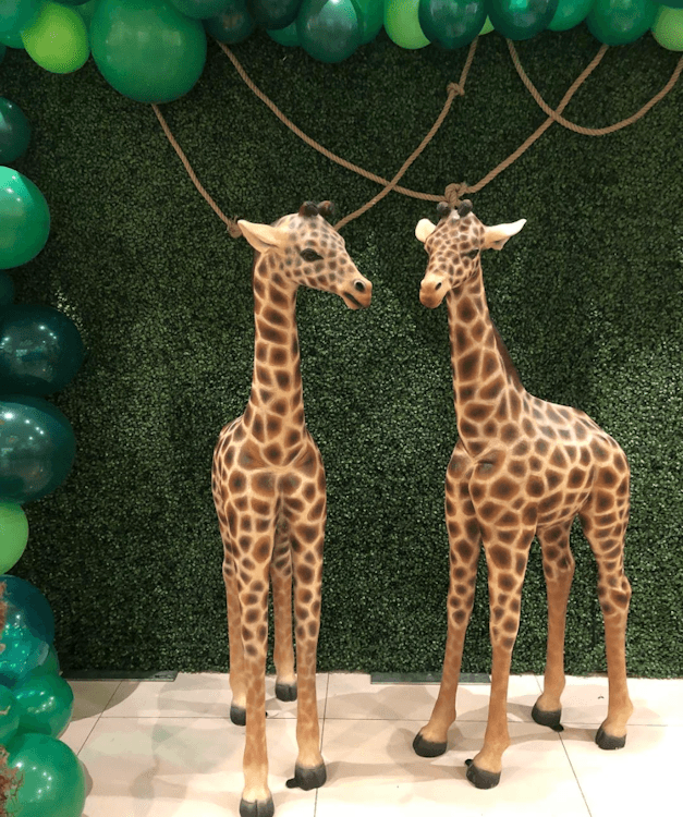 Giraffe