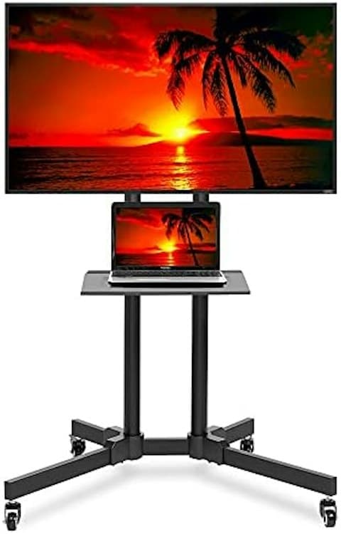 65 inch Television with Portable TV Stand