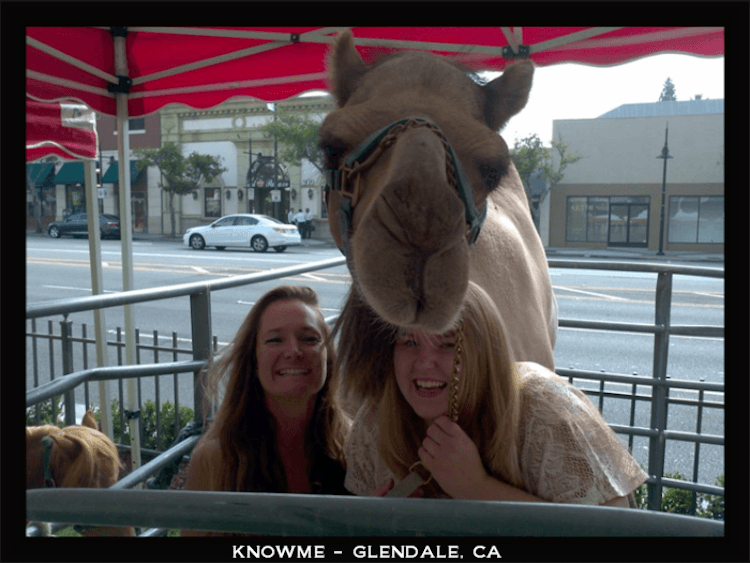 CAMEL RIDE - Additional Hour